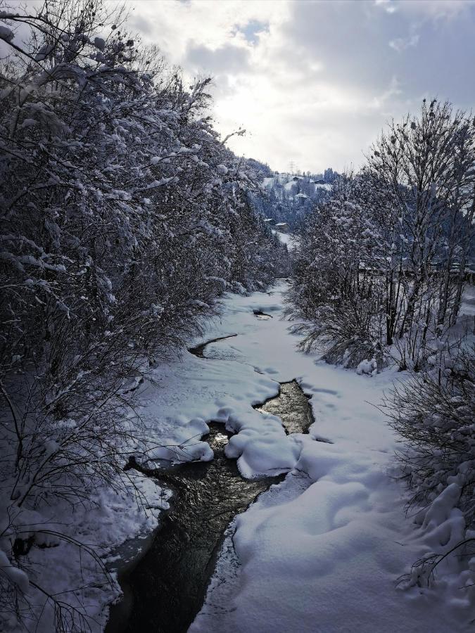 Apart Platzer Zell am Ziller Ngoại thất bức ảnh